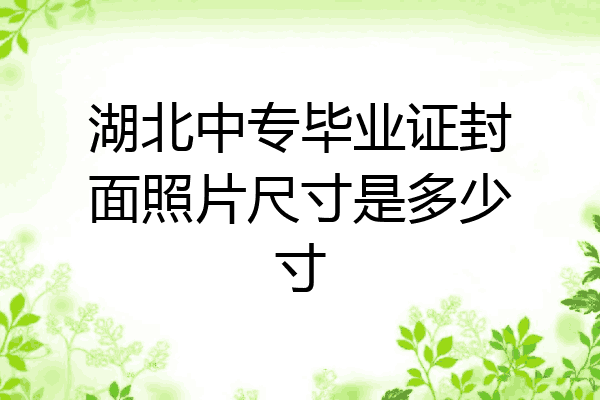 湖北中专毕业证封面照片尺寸是多少寸