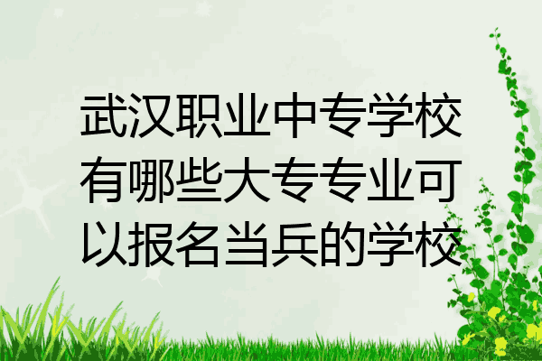 武汉职业中专学校有哪些大专专业可以报名当兵的学校