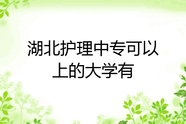 湖北护理中专可以上的大学有