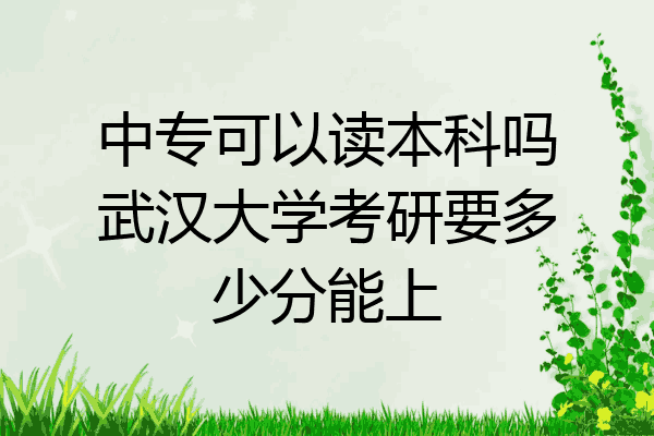 中专可以读本科吗武汉大学考研要多少分能上