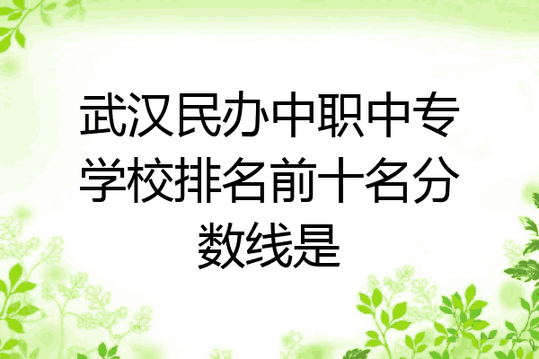 武汉民办中职中专学校排名前十名分数线是