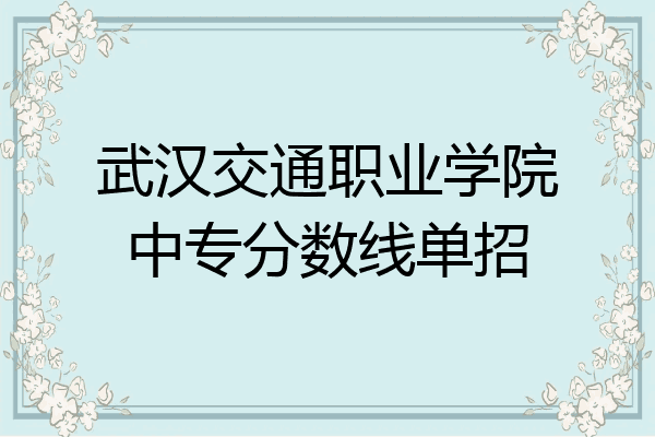武汉交通职业学院中专分数线单招