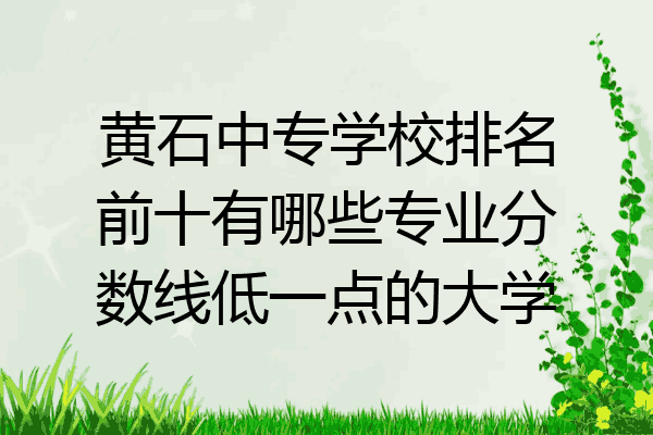 黄石中专学校排名前十有哪些专业分数线低一点的大学