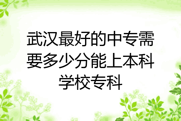 武汉最好的中专需要多少分能上本科学校专科