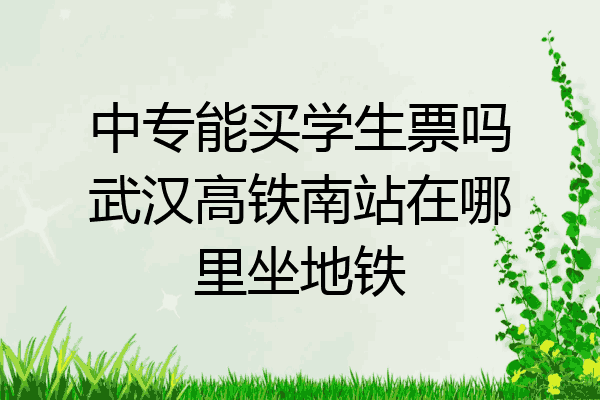 中专能买学生票吗武汉高铁南站在哪里坐地铁