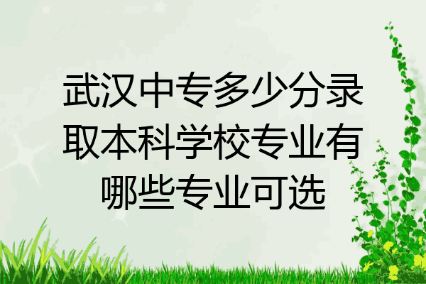 武汉中专多少分录取本科学校专业有哪些专业可选