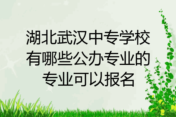 湖北武汉中专学校有哪些公办专业的专业可以报名