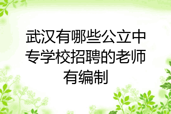 武汉有哪些公立中专学校招聘的老师有编制
