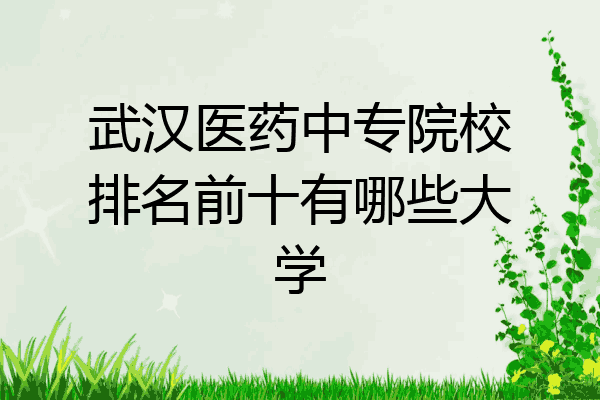 武汉医药中专院校排名前十有哪些大学