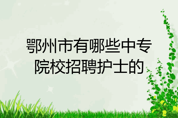 鄂州市有哪些中专院校招聘护士的