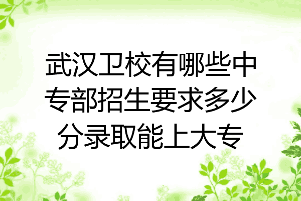 武汉卫校有哪些中专部招生要求多少分录取能上大专