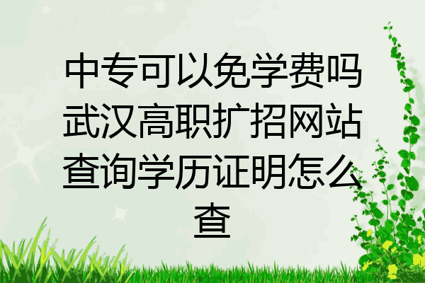 中专可以免学费吗武汉高职扩招网站查询学历证明怎么查