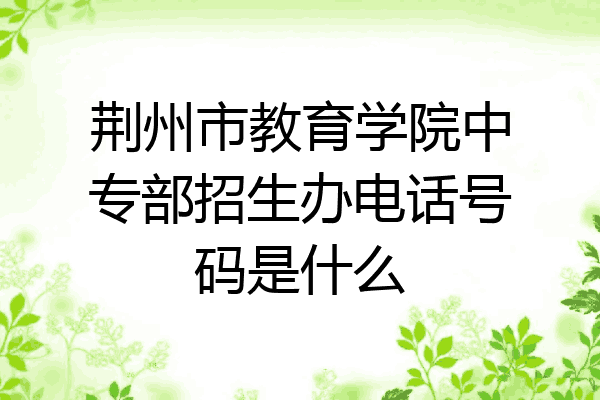 荆州市教育学院中专部招生办电话号码是什么