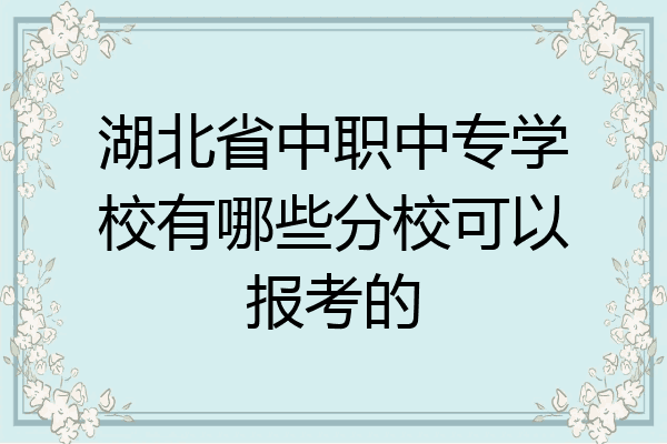 湖北省中职中专学校有哪些分校可以报考的