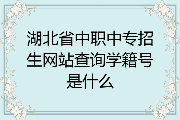 湖北省中职中专招生网站查询学籍号是什么
