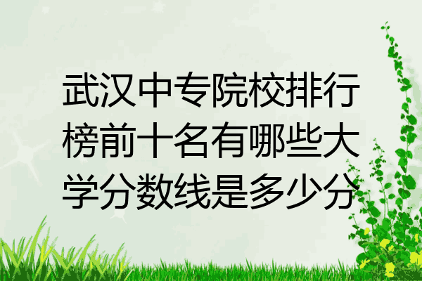 武汉中专院校排行榜前十名有哪些大学分数线是多少分