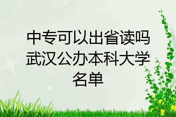 中专可以出省读吗武汉公办本科大学名单