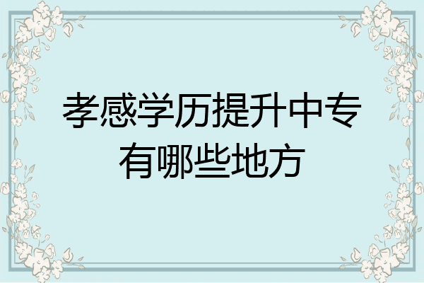 孝感学历提升中专有哪些地方