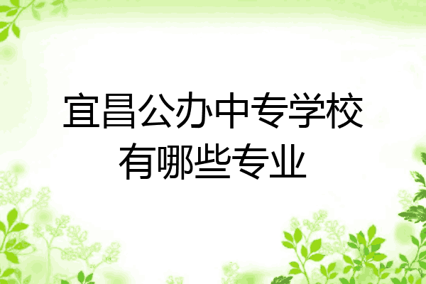 宜昌公办中专学校有哪些专业