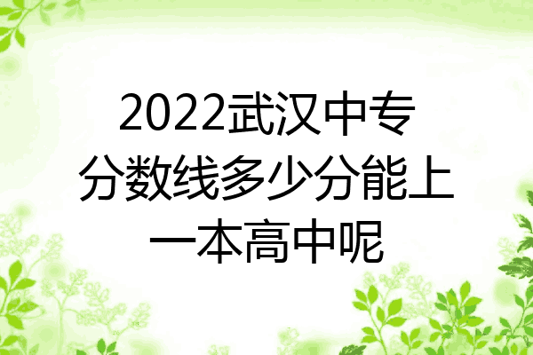 2022武汉中专分数线多少分能上一本高中呢