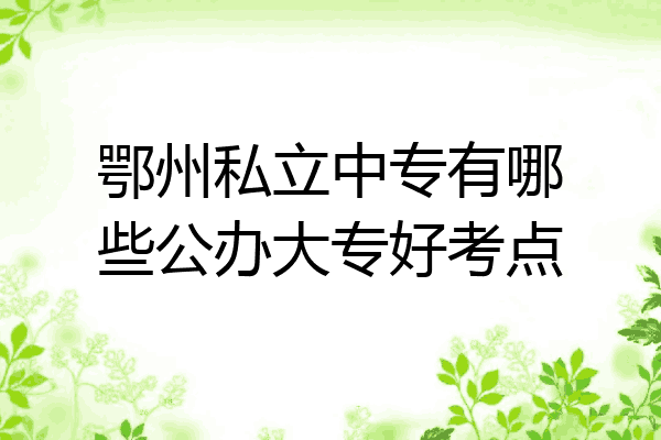 鄂州私立中专有哪些公办大专好考点