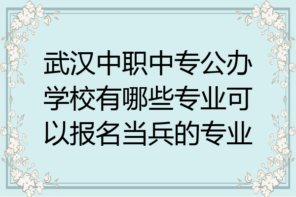 武汉中职中专公办学校有哪些专业可以报名当兵的专业