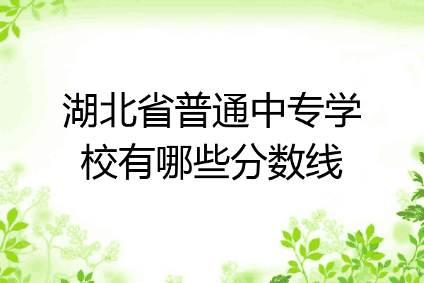 湖北省普通中专学校有哪些分数线