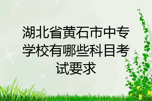 湖北省黄石市中专学校有哪些科目考试要求