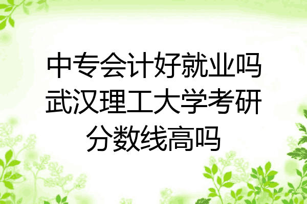 中专会计好就业吗武汉理工大学考研分数线高吗