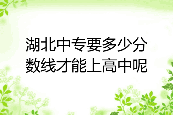 湖北中专要多少分数线才能上高中呢