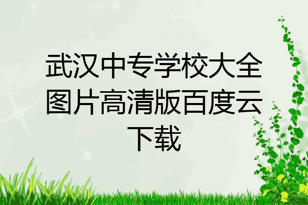 武汉中专学校大全图片高清版百度云下载