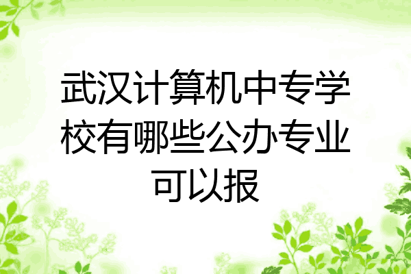 武汉计算机中专学校有哪些公办专业可以报