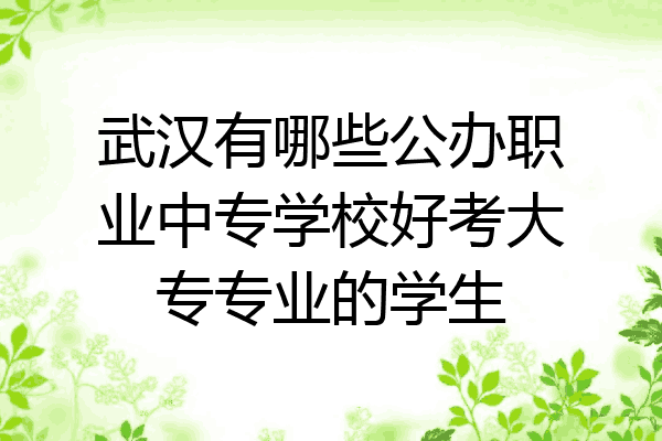 武汉有哪些公办职业中专学校好考大专专业的学生