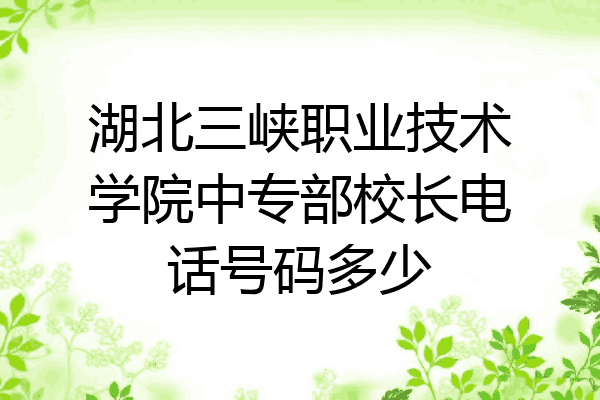 湖北三峡职业技术学院中专部校长电话号码多少
