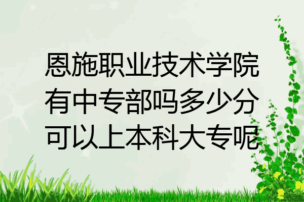 恩施职业技术学院有中专部吗多少分可以上本科大专呢