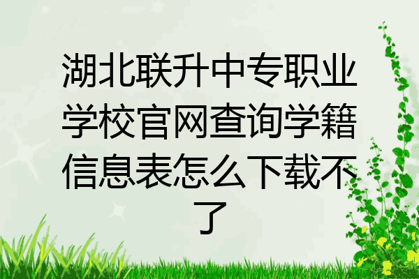 湖北联升中专职业学校官网查询学籍信息表怎么下载不了
