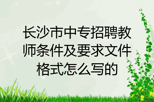 长沙市中专招聘教师条件及要求文件格式怎么写的