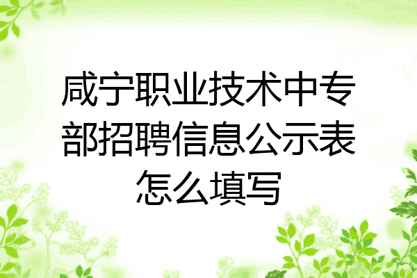 咸宁职业技术中专部招聘信息公示表怎么填写