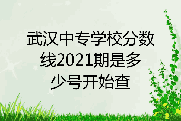 武汉中专学校分数线2021期是多少号开始查