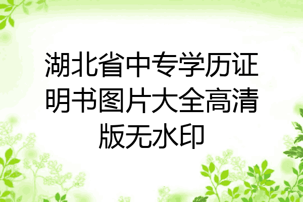 湖北省中专学历证明书图片大全高清版无水印