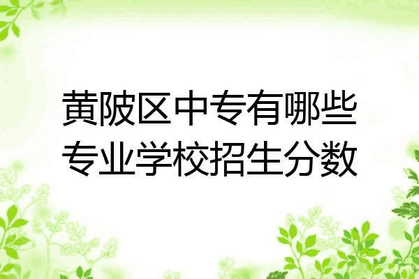 黄陂区中专有哪些专业学校招生分数