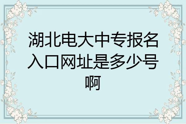 湖北电大中专报名入口网址是多少号啊