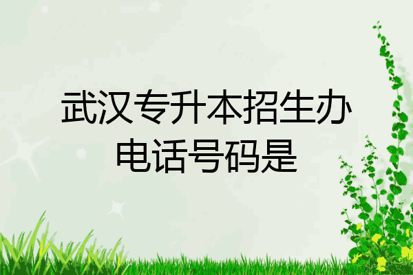 武汉专升本招生办电话号码是