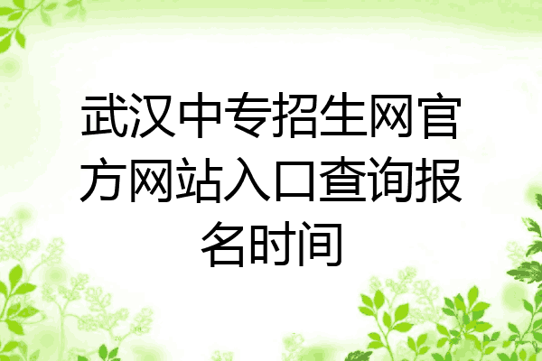 武汉中专招生网官方网站入口查询报名时间