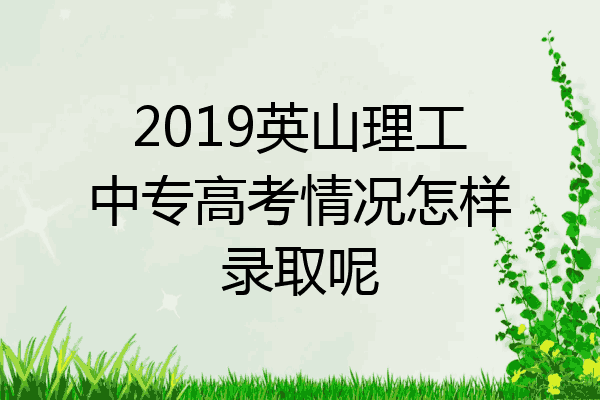 2019英山理工中专高考情况怎样录取呢
