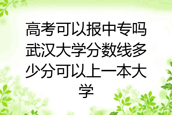 高考可以报中专吗武汉大学分数线多少分可以上一本大学