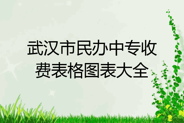 武汉市民办中专收费表格图表大全