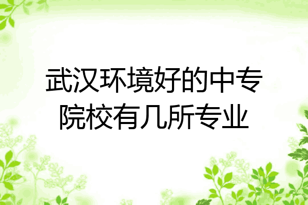 武汉环境好的中专院校有几所专业