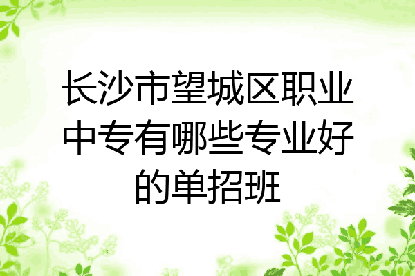 长沙市望城区职业中专有哪些专业好的单招班