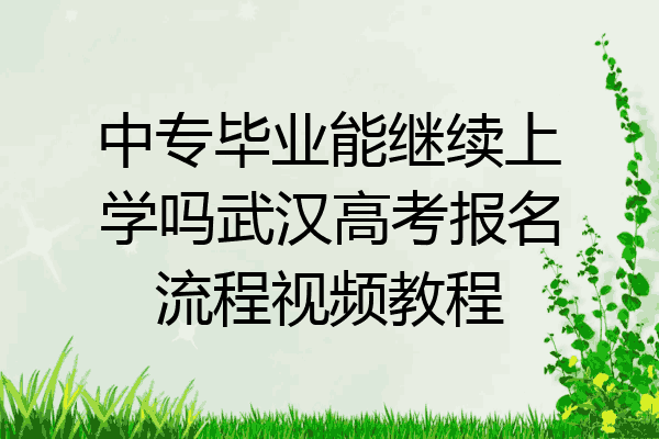 中专毕业能继续上学吗武汉高考报名流程视频教程